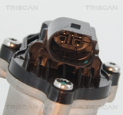 8813 16151 TRISCAN Клапан возврата ОГ (фото 2)