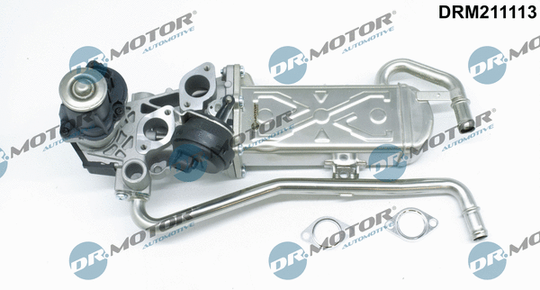 DRM211113 Dr.Motor Automotive Клапан возврата ОГ (фото 1)
