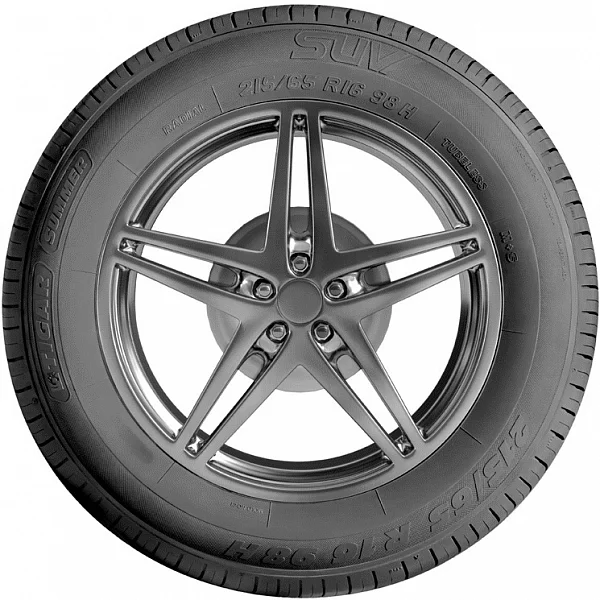 572485 TIGAR Шины автомобильные Tigar 215/70R16 100H TIGAR SUV SUMMER (фото 3)