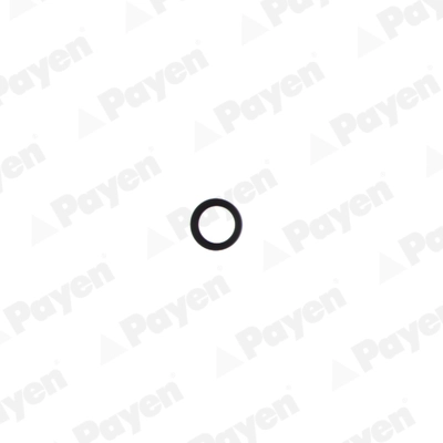 NF808 PAYEN Уплотняющее кольцо, распределительный вал (фото 2)