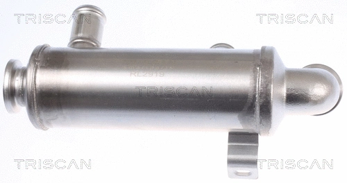 8813 10111 TRISCAN Радиатор, рециркуляция ОГ (фото 1)