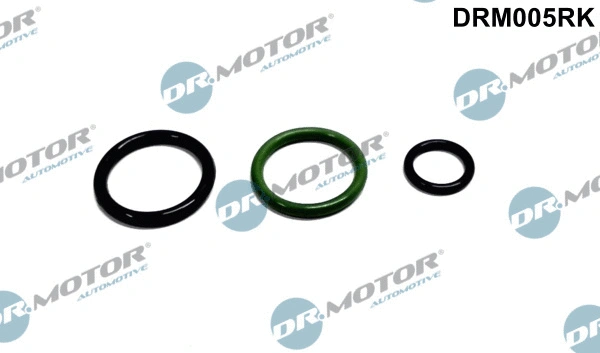 DRM005RK Dr.Motor Automotive Ремкомплект, насос-форсунка (фото 1)