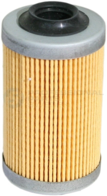 22346310 Professional Parts Масляный фильтр (фото 1)