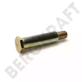 BK9001813 BERGKRAFT Болт крепления стабилизатора (фото 1)