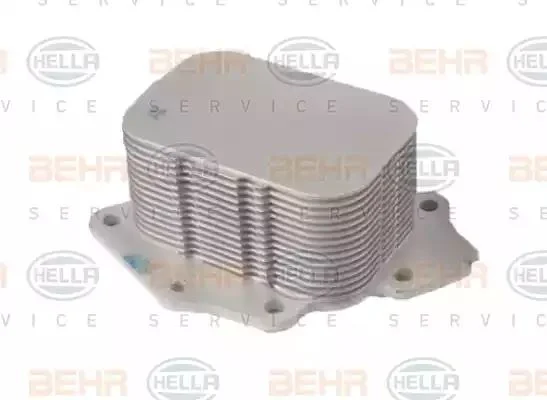 8MO 376 701-514 BEHR/HELLA/PAGID масляный радиатор двигателя (фото 1)