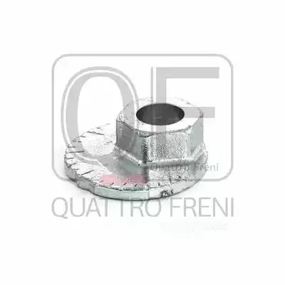 QF00X00018 QUATTRO FRENI Болт (фото 1)