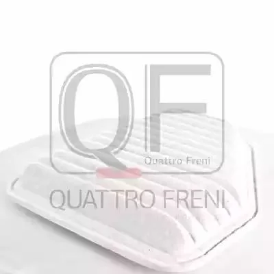 QF36A00042 QUATTRO FRENI Фильтр (фото 3)