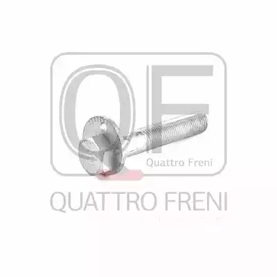 QF60D00006 QUATTRO FRENI Болт (фото 1)