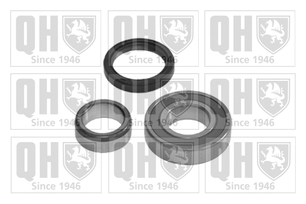 QWB376 QUINTON HAZELL Комплект подшипника ступицы колеса (фото 1)