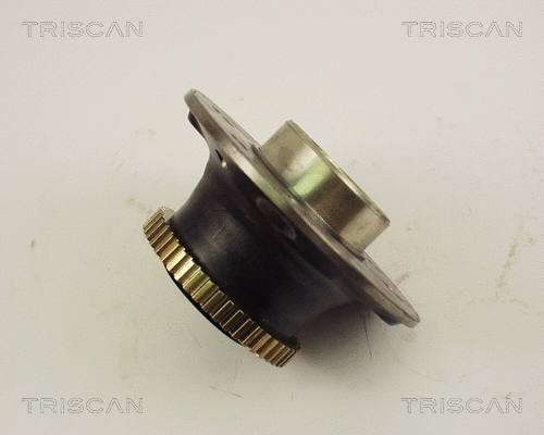 8530 25216 TRISCAN Комплект подшипника ступицы колеса (фото 1)