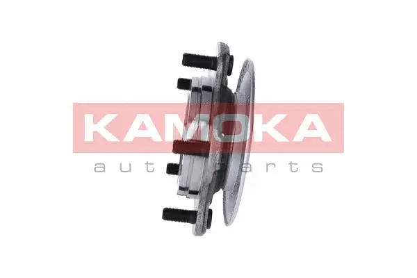 5500050 KAMOKA Комплект подшипника ступицы колеса (фото 2)