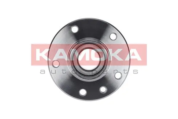 5500121 KAMOKA Комплект подшипника ступицы колеса (фото 1)