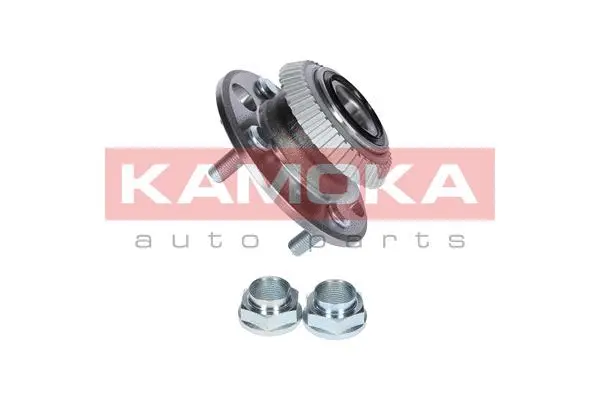 5500146 KAMOKA Комплект подшипника ступицы колеса (фото 2)