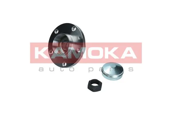 5500169 KAMOKA Комплект подшипника ступицы колеса (фото 1)