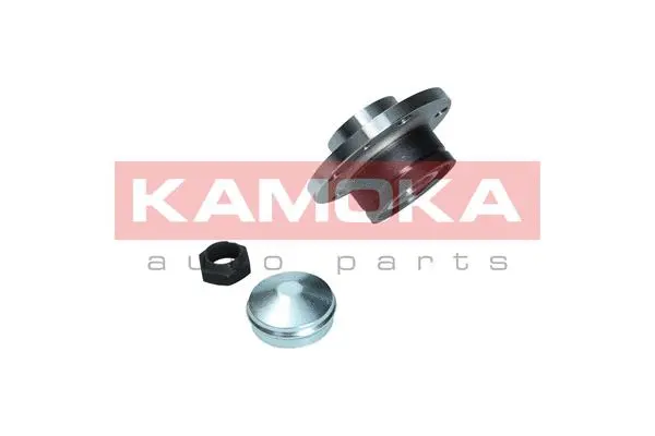 5500169 KAMOKA Комплект подшипника ступицы колеса (фото 2)
