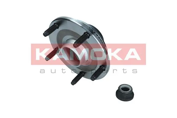 5500253 KAMOKA Комплект подшипника ступицы колеса (фото 1)