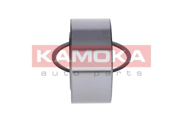 5600063 KAMOKA Комплект подшипника ступицы колеса (фото 4)
