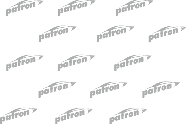 PSA534002 PATRON Амортизатор (фото 1)