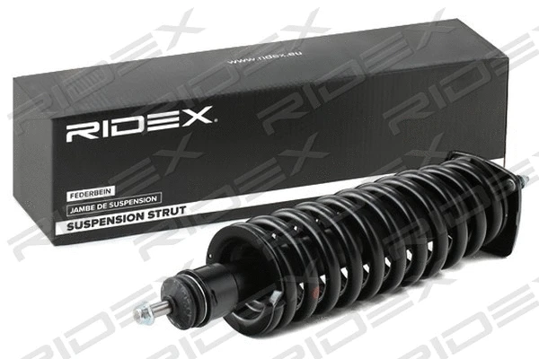 198S0004 RIDEX Амортизатор (фото 4)