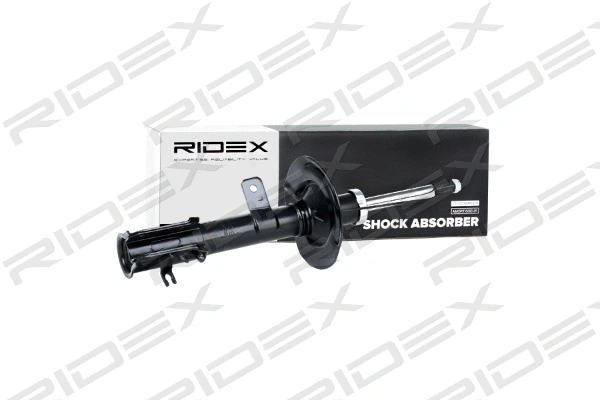 854S0038 RIDEX Амортизатор (фото 1)