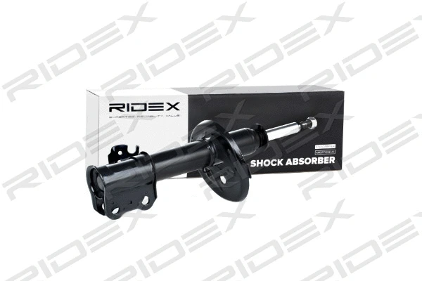 854S0115 RIDEX Амортизатор (фото 1)