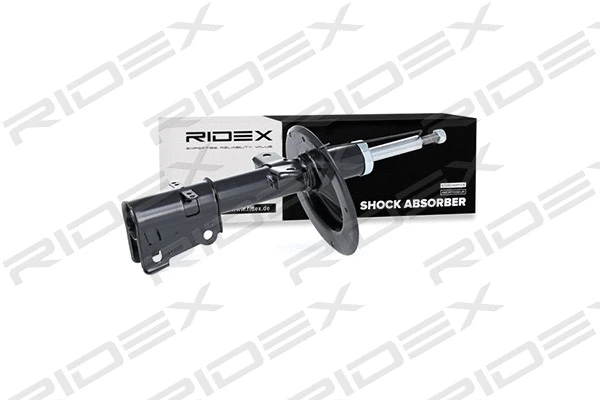 854S0189 RIDEX Амортизатор (фото 3)