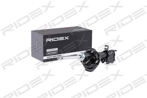 854S0564 RIDEX Амортизатор (фото 1)