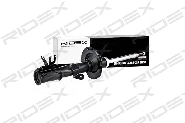 854S0829 RIDEX Амортизатор (фото 1)