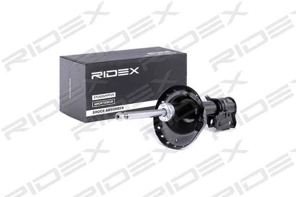 854S1428 RIDEX Амортизатор (фото 1)