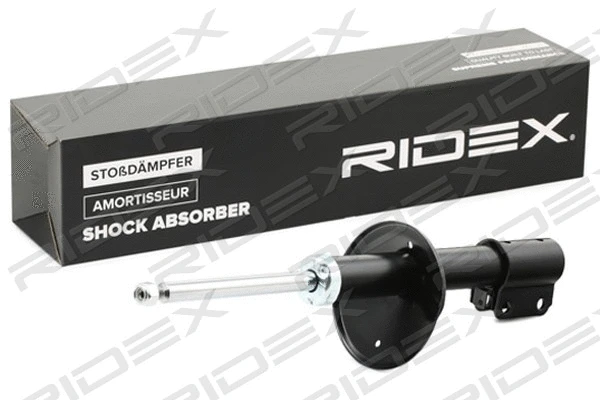 854S1505 RIDEX Амортизатор (фото 1)