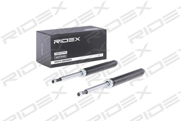 854S1725 RIDEX Амортизатор (фото 1)