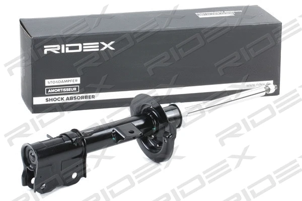 854S1848 RIDEX Амортизатор (фото 1)