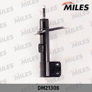 DM21306 MILES Амортизатор (фото 1)