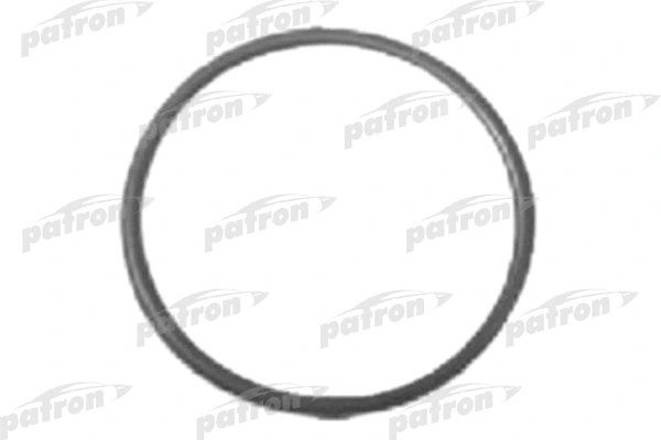 P18-0016 PATRON Уплотнительное кольцо (фото 1)