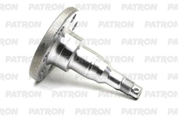 PBK4568H PATRON Поворотный кулак, подвеска колеса (фото 1)