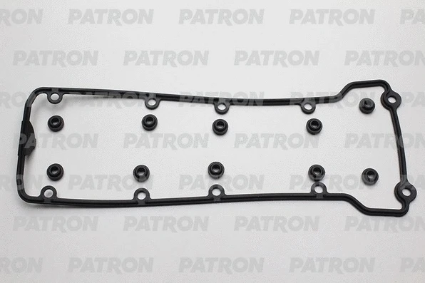 PG1-6031 PATRON Комплект прокладок, крышка головки цилиндра (фото 1)
