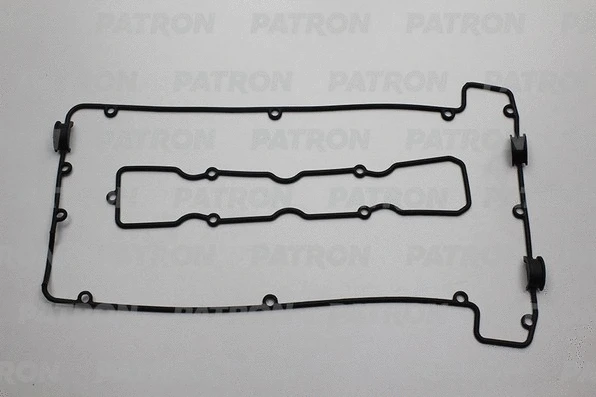 PG1-6036 PATRON Комплект прокладок, крышка головки цилиндра (фото 1)