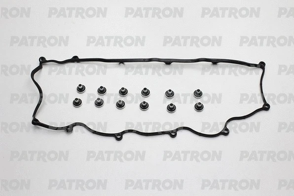 PG1-6076 PATRON Комплект прокладок, крышка головки цилиндра (фото 1)