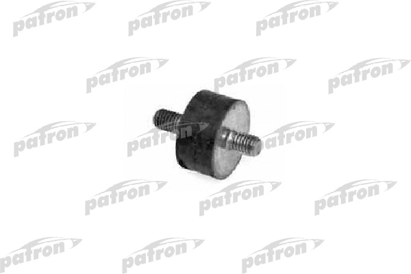 PSE3060 PATRON Подвеска, радиатор (фото 1)