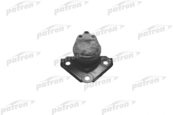 PSE3900 PATRON Подвеска, двигатель (фото 1)