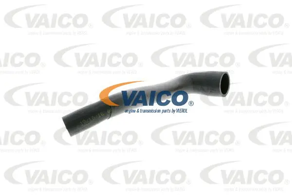 V22-1070 VAICO Масляный шланг (фото 1)