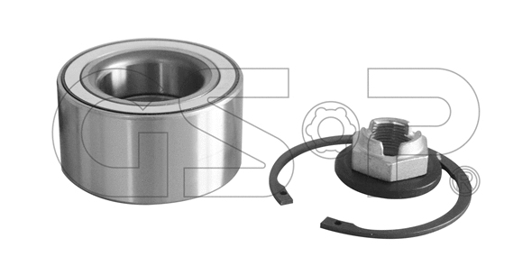 GK00X73 GSP Комплект подшипника ступицы колеса (фото 1)