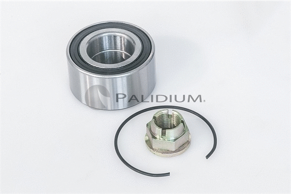 PAL6-1008 ASHUKI by Palidium Комплект подшипника ступицы колеса (фото 1)