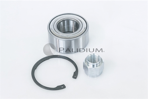 PAL6-1025 ASHUKI by Palidium Комплект подшипника ступицы колеса (фото 1)