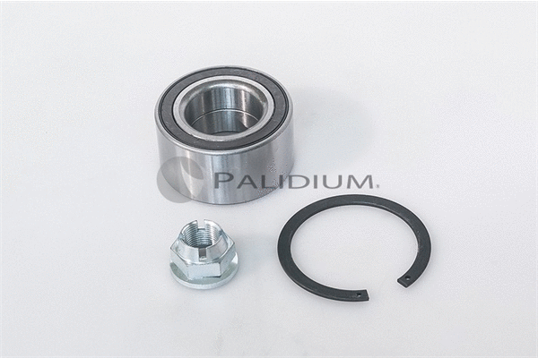 PAL6-1052 ASHUKI by Palidium Комплект подшипника ступицы колеса (фото 1)