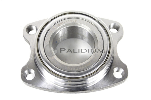 PAL6-2020 ASHUKI by Palidium Комплект подшипника ступицы колеса (фото 1)
