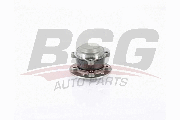 BSG 60-600-026 BSG Комплект подшипника ступицы колеса (фото 1)