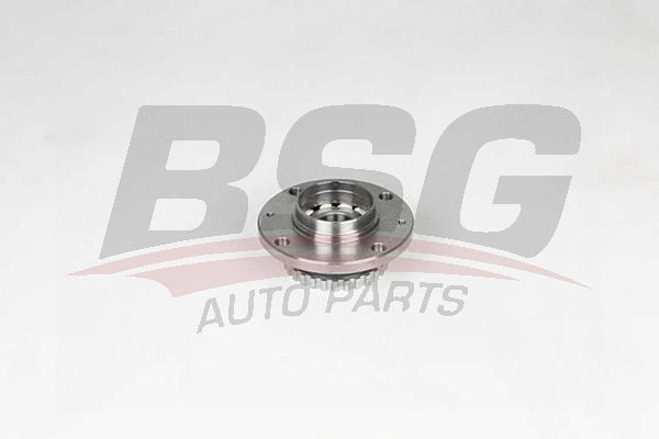 BSG 70-600-022 BSG Комплект подшипника ступицы колеса (фото 1)