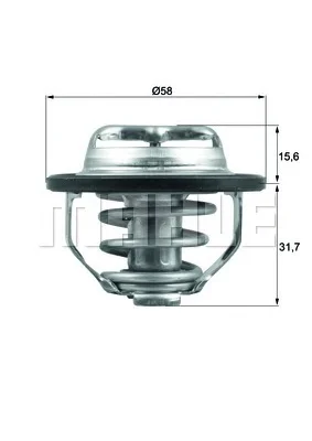 TX 122 82 BEHR/HELLA/PAGID Термостат (фото 1)