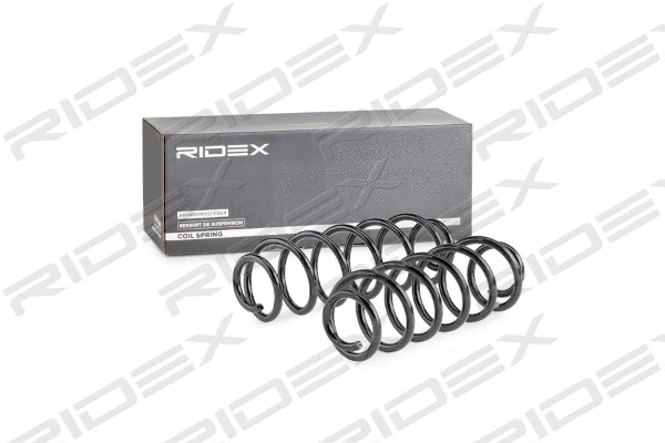 189S0003 RIDEX Комплект ходовой части, пружины (фото 1)